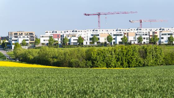 Landwirtschaftliche Flächen, im Hintergrund Siedlungsbau. 