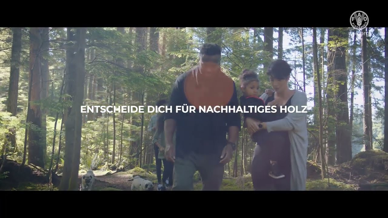 Vorschaubild: FAO-Video zum Internationalen Tag des Waldes