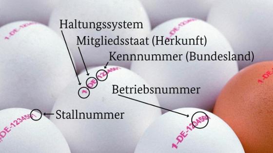 Eier mit Erzeugercode und Erklärungen