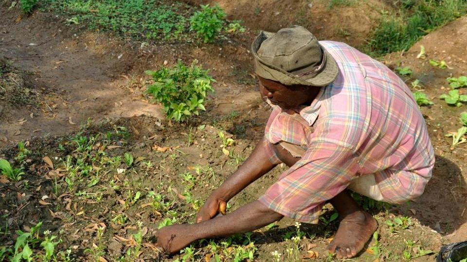 Afrikanischer Bauer bei der Feldarbeit