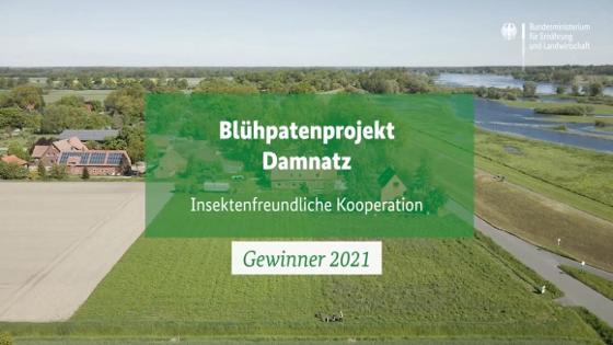 Startbild des Preisträgerfilms zum Projekt Blühpaten Damnatz