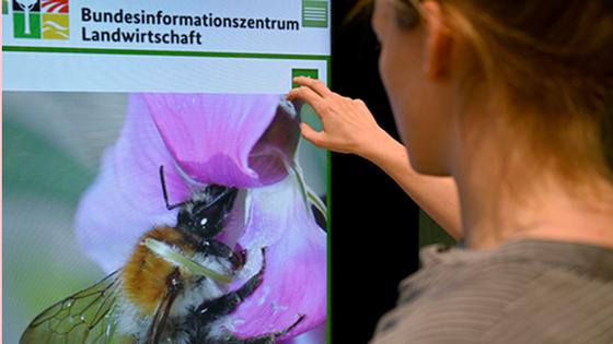 Eine Besucherin der Messe tippt auf das Touchscreen eines überlebensgroßen Smartphones, auf dem das Foto einer Biene zu sehen ist.