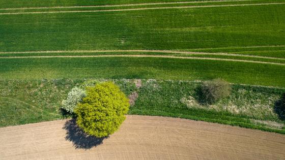 Landwirtschaftliche Felder mit Landschaftselementen aus der Vogelperspektive