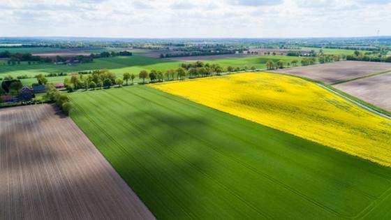 Arable land from a bird's eye perspective