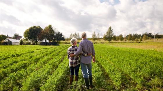 A senior couple is standing in a vegetable field, their backs to the camera