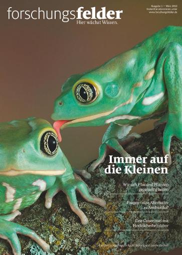 Cover der Broschüre 