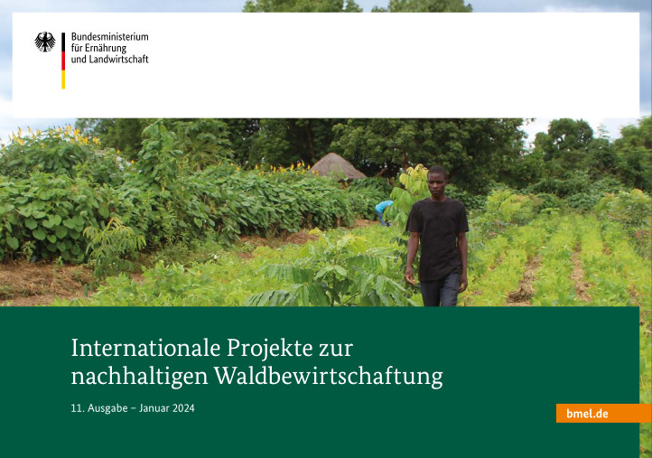 Cover des Projektbriefes