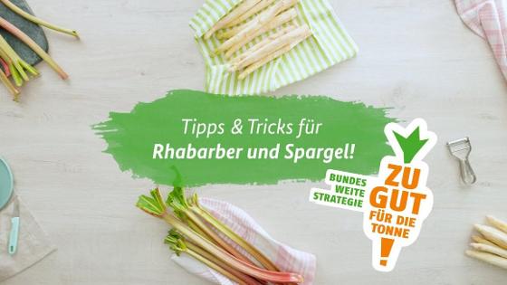 Spargel- und Rhabarberstanden liegen auf Küchenhandtüchern auf einer Arbeitsplatte. Darauf die Schrift: Tipps & Tricks für Rhabarber und Spargel