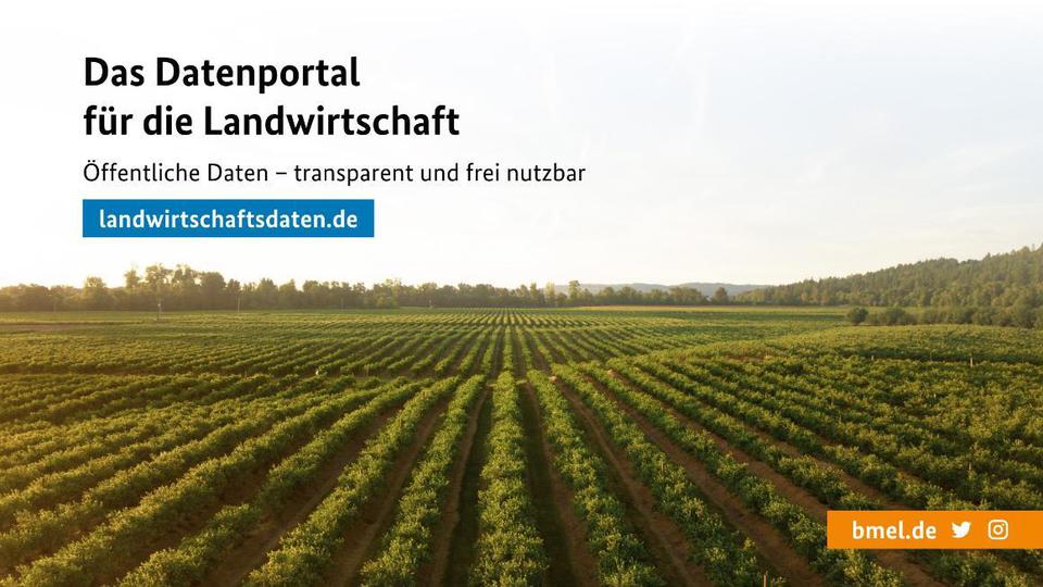 Startseite der Website www.landwirtschaftsdaten.de mit landwirtschaftlichen Feldern