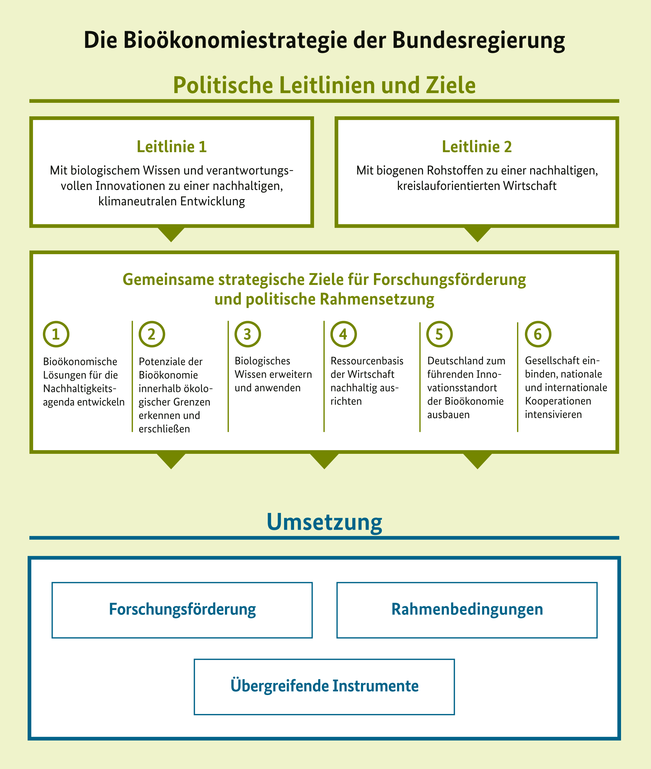 Grafik mit den politischen Leitlinien und Zielen der Bioökonomiestrategie sowie deren Umsetzung