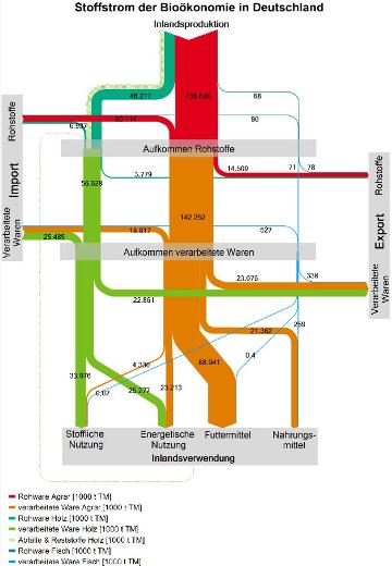 Grafik zum Stoffstrom der Bioökonomie in Deutschland (Produktion, Verwendung, Import, Export)
