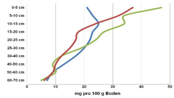 Das Diagramm stellt auf der X-Achse den Kaliumgehalt in Milligramm pro 100 Gramm Boden dar. Die Y-Achse die Bodentiefe von 0 bis 70 Zentimeter. Das Diagramm stellt auf der X-Achse den Kaliumgehalt in Milligramm pro 100 Gramm Boden dar. Die Y-Achse die Bodentiefe von 0 bis 70 Zentimeter.