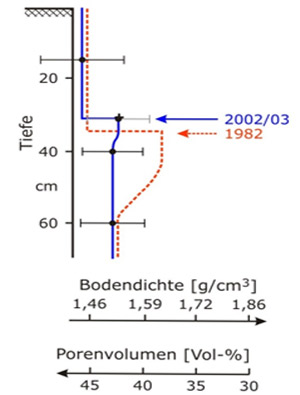 Grafik zu Bodendichte und Porenvolumen in Abhängigkeit von der Bodentiefe Grafik zu Bodendichte und Porenvolumen in Abhängigkeit von der Bodentiefe