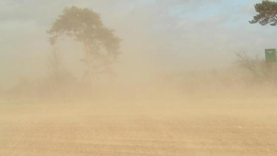 Prozesse der Winderosion Prozesse der Winderosion