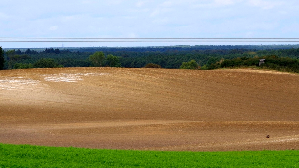 Bild von abgetragendem Bodenmaterial am Oberhang eines Ackers Bild von abgetragendem Bodenmaterial am Oberhang eines Ackers