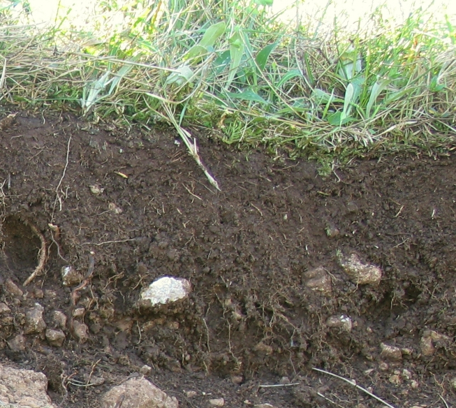Foto von Boden mit feinen Krümeln Foto von Boden mit feinen Krümeln