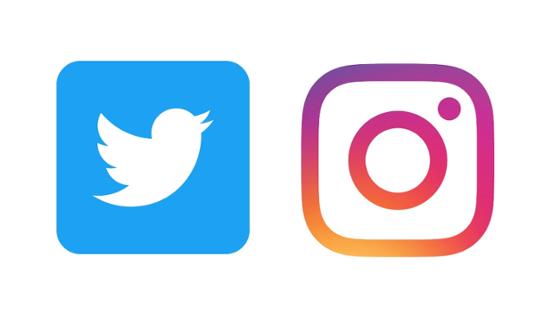 Twitter und Insta Icons