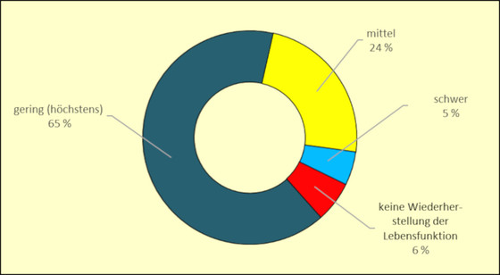 gering (höchstens) 65 Prozent; mittel 24 Prozent, schwer 5 Prozent, keine Wiederherstellung der Lebensfunktion 6 Prozent gering (höchstens) 65 Prozent; mittel 24 Prozent, schwer 5 Prozent, keine Wiederherstellung der Lebensfunktion 6 Prozent