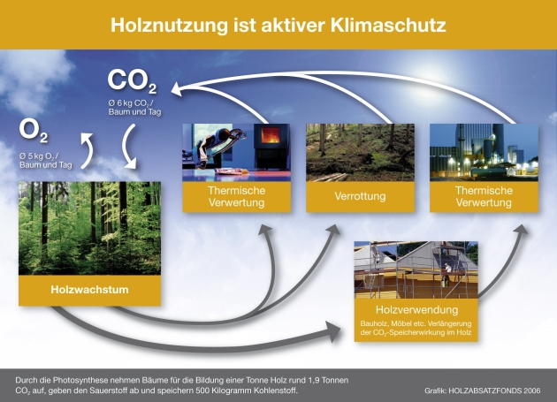 Grafik zum O2- und CO2-Austausch im Wald Grafik zum O2- und CO2-Austausch im Wald