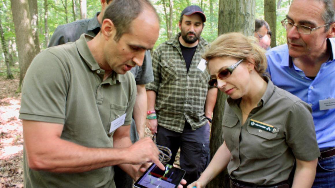 Förster stehen im Wald und schauen auf ein Tablet Förster stehen im Wald und schauen auf ein Tablet