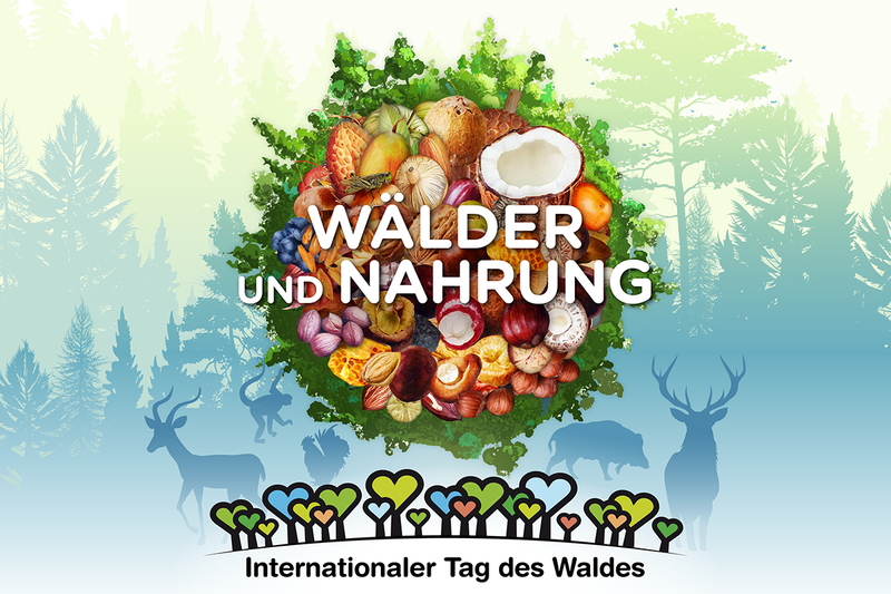 Eine Visualisierung mit Bäumen und Nahrungsmitteln aus dem Wald. Darauf steht: "Wälder und Nahrung - Internationaler Tag des Waldes" Eine Visualisierung mit Bäumen und Nahrungsmitteln aus dem Wald. Darauf steht: "Wälder und Nahrung - Internationaler Tag des Waldes"