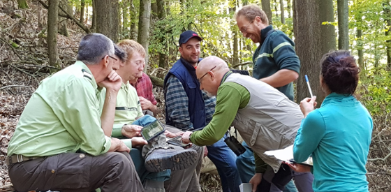 Übung im Wald Übung im Wald