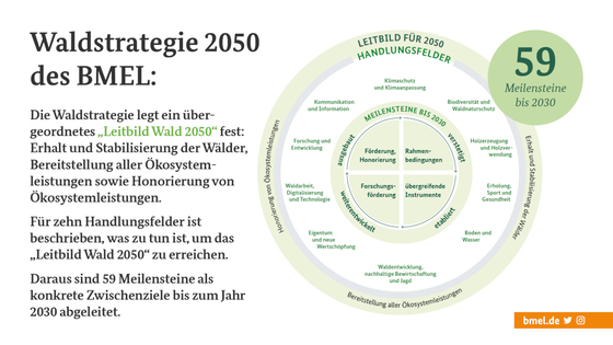 Grafik der Zehn Handlungsfelder bis 2050 und 59 Meilensteine bis 2030 Grafik der Zehn Handlungsfelder bis 2050 und 59 Meilensteine bis 2030
