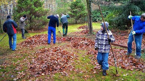 Fünf Männer und ein Junge rechen gemeinsam auf einer Wiese Herbstlaub. Fünf Männer und ein Junge rechen gemeinsam auf einer Wiese Herbstlaub.