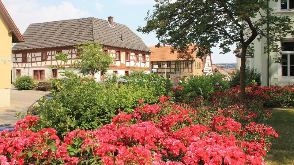 Dorfimpressionen Fachwerkhäuser hinter einer Parkfläche mit roten Blumen und Büschen Dorfimpressionen Fachwerkhäuser hinter einer Parkfläche mit roten Blumen und Büschen