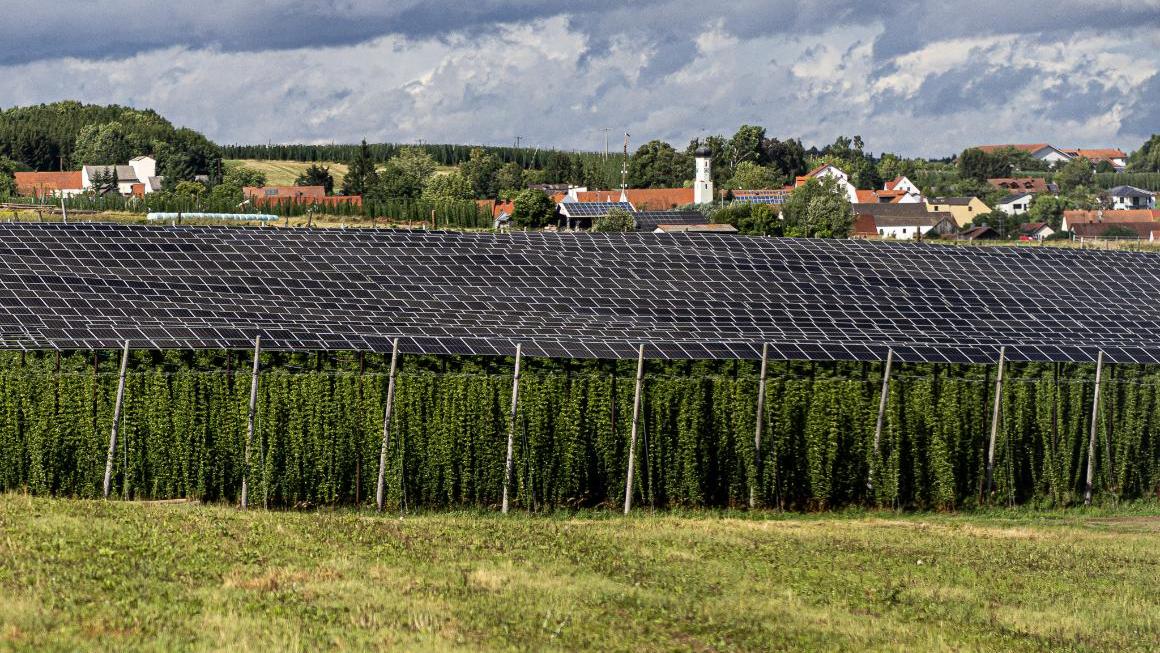 Agri-PV-Anlage: Solaranlagen über einem Hopfen-Feld, im Hintergrund ein Dorf. Agri-PV-Anlage: Solaranlagen über einem Hopfen-Feld, im Hintergrund ein Dorf.