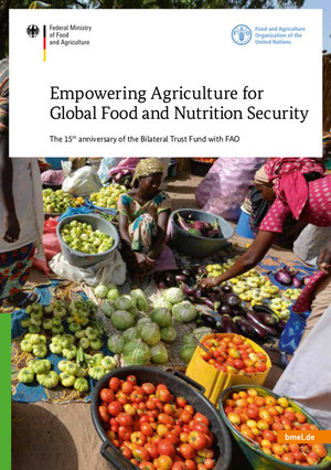 Cover Brochure Empowering Agriculture for Global Food and Nutrition Security - The 15th anniversary of the Bilateral Trust Fund with FAO.
