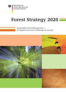 Cover Brochure Forest Strategy 2020