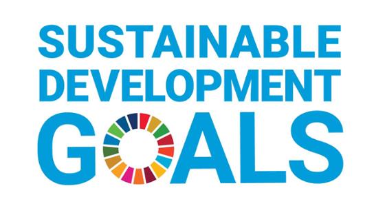 Logo of the Sustainable Development Goals (SDG)