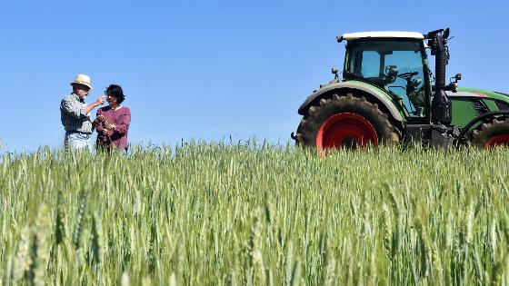 A woman and a man are standing next to a tractor on a grainfield