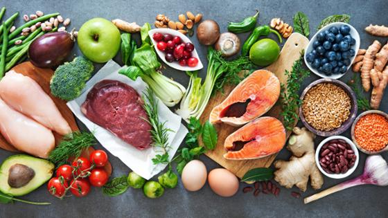 Various foods: vegetables, fruits, fish, muschrooms, meat, nuts, grains, eggs