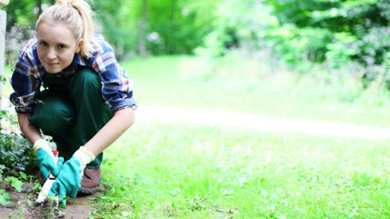 Young gardener with putty knife in a garden 