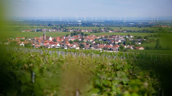 View of the village Weyher