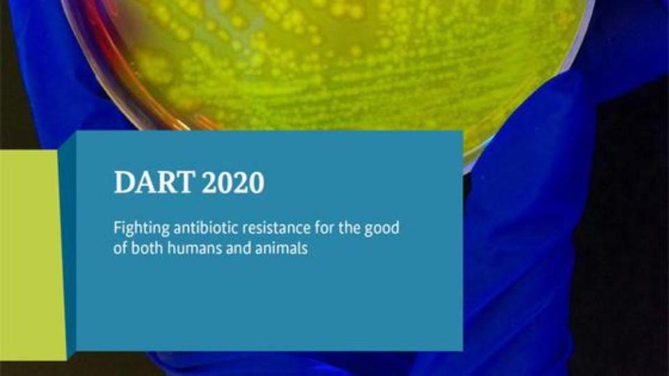 Aufschrift auf der Broschüre" Fighting antibiotics resistance for the good of both humans and animals" ist zu lesen