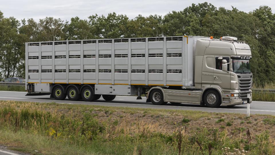 An animal transporter on the street.