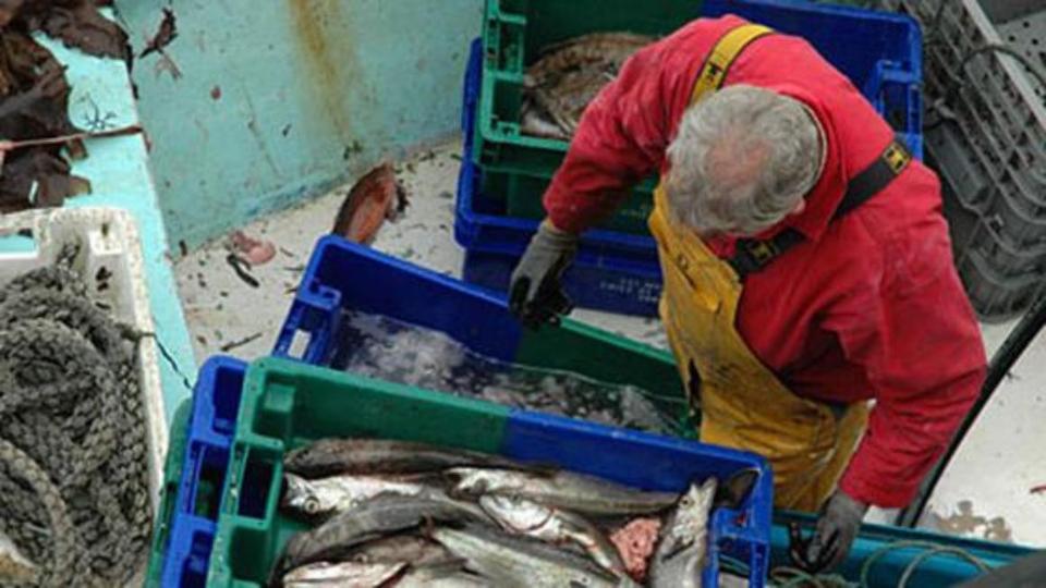 Fisherman stacks boxes with fish