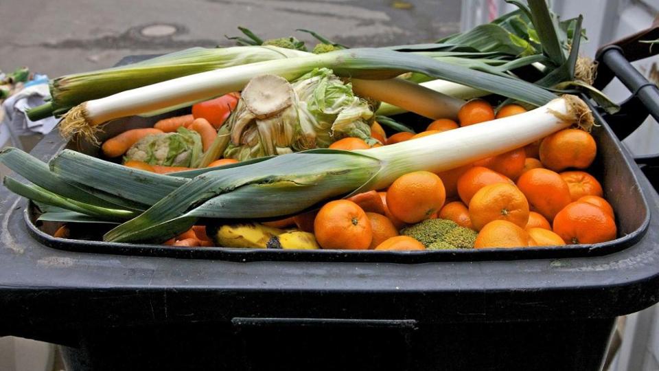 Black trash can filled with vegetables and fruits